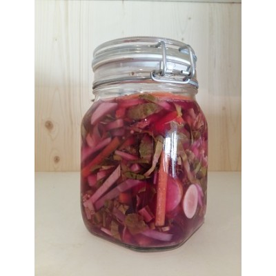 Lactofermentation aux plantes sauvages 1l